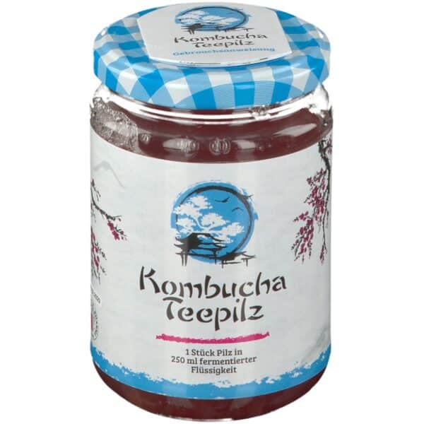 Gall Pharma Kombucha Teepilz  von GALL PHARMA