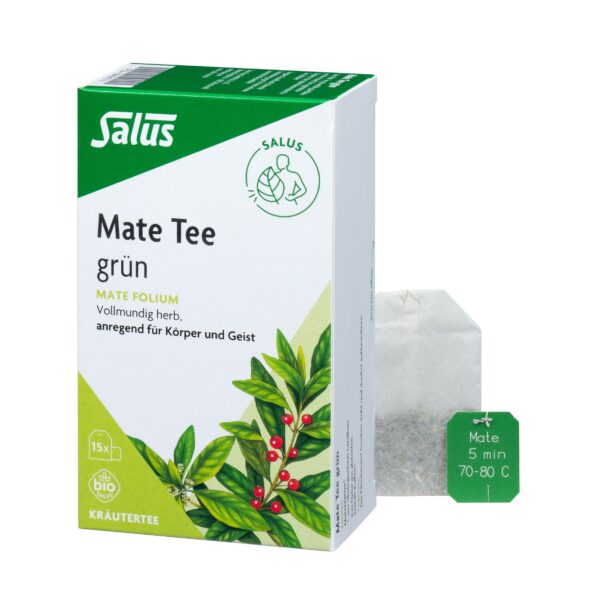 Salus® Mate Tee grün  von Salus