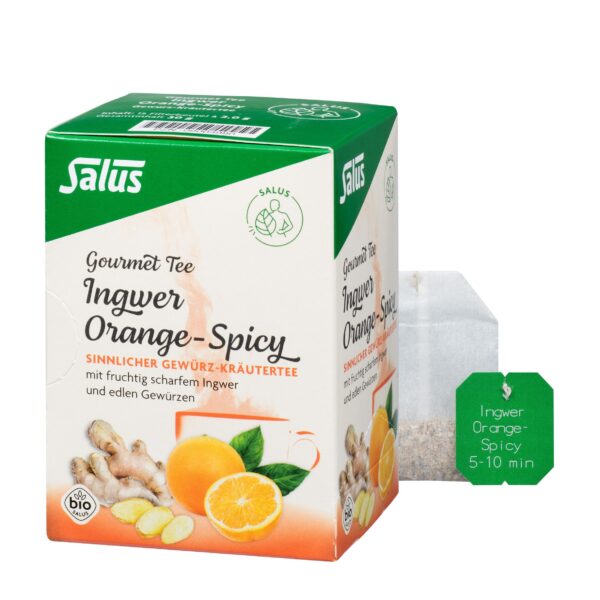 Salus® Gourmet Ingwer Orange-Spicy  von Salus